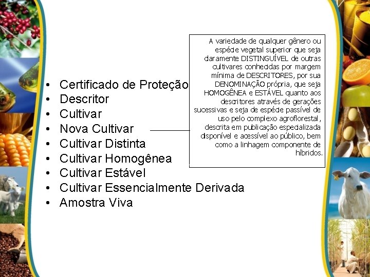  • • • A variedade de qualquer gênero ou espécie vegetal superior que