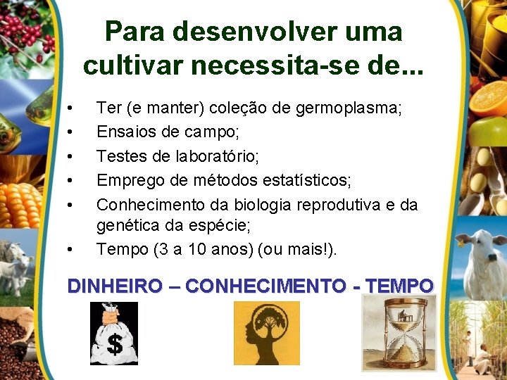 Para desenvolver uma cultivar necessita-se de. . . • • • Ter (e manter)