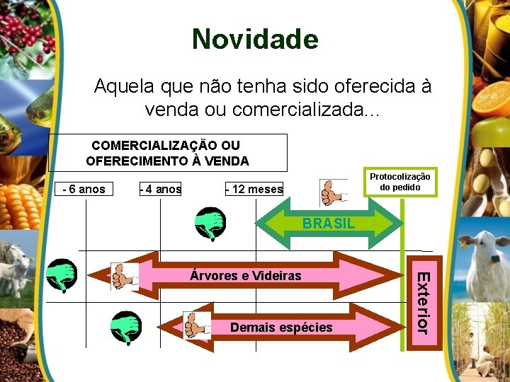 Novidade Aquela que não tenha sido oferecida à venda ou comercializada. . . COMERCIALIZAÇÃO