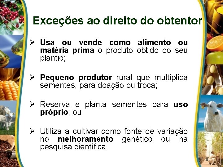 Exceções ao direito do obtentor Ø Usa ou vende como alimento ou matéria prima