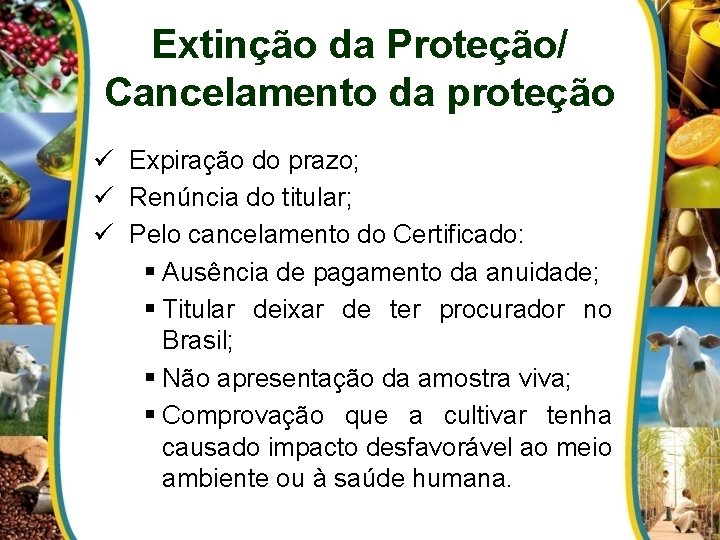 Extinção da Proteção/ Cancelamento da proteção ü Expiração do prazo; ü Renúncia do titular;