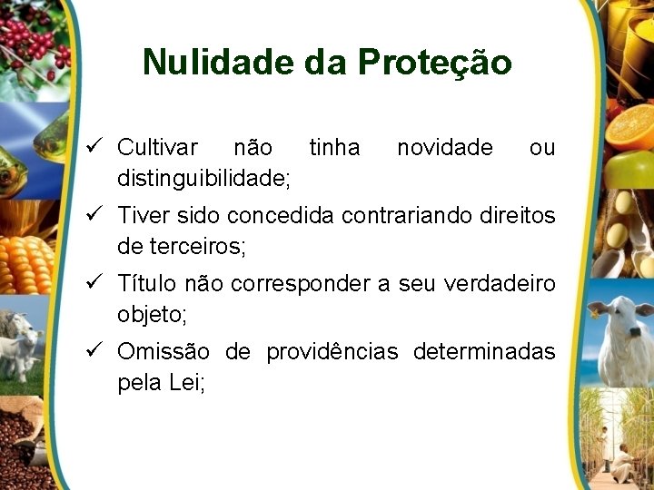 Nulidade da Proteção ü Cultivar não tinha distinguibilidade; novidade ou ü Tiver sido concedida