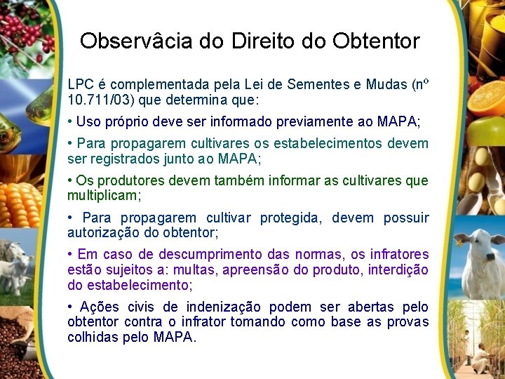 Observâcia do Direito do Obtentor LPC é complementada pela Lei de Sementes e Mudas
