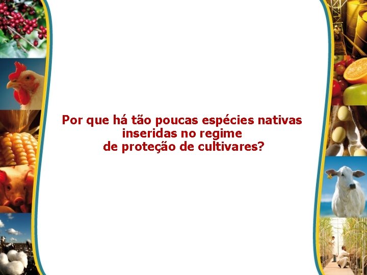 Por que há tão poucas espécies nativas inseridas no regime de proteção de cultivares?