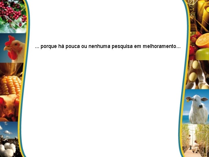 . . . porque há pouca ou nenhuma pesquisa em melhoramento. . . 