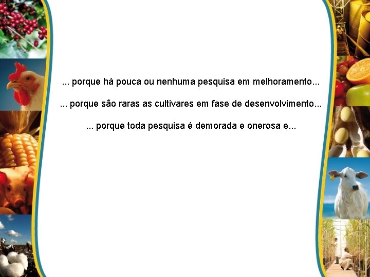 . . . porque há pouca ou nenhuma pesquisa em melhoramento. . . porque