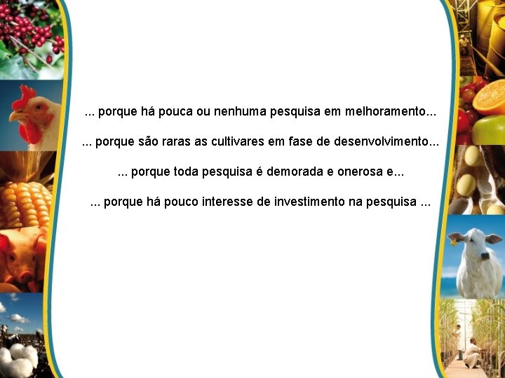 . . . porque há pouca ou nenhuma pesquisa em melhoramento. . . porque