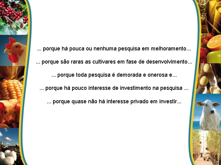 . . . porque há pouca ou nenhuma pesquisa em melhoramento. . . porque