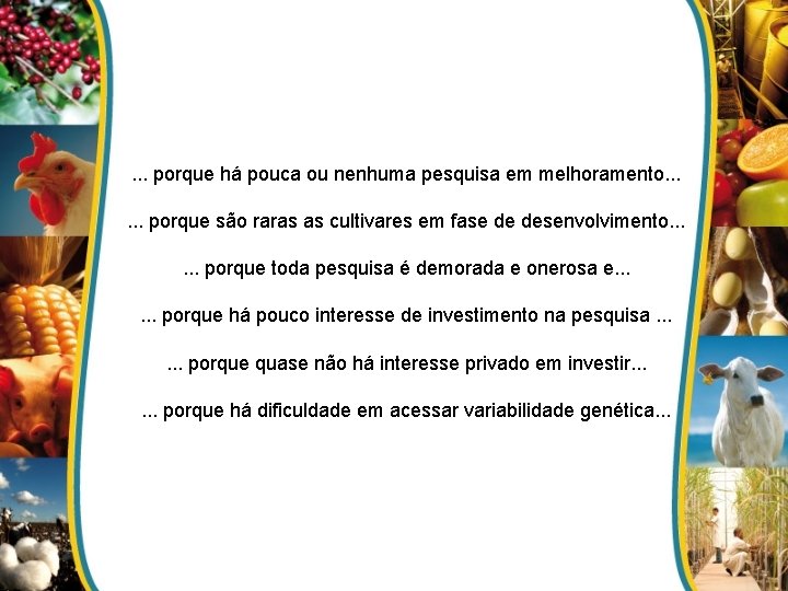 . . . porque há pouca ou nenhuma pesquisa em melhoramento. . . porque