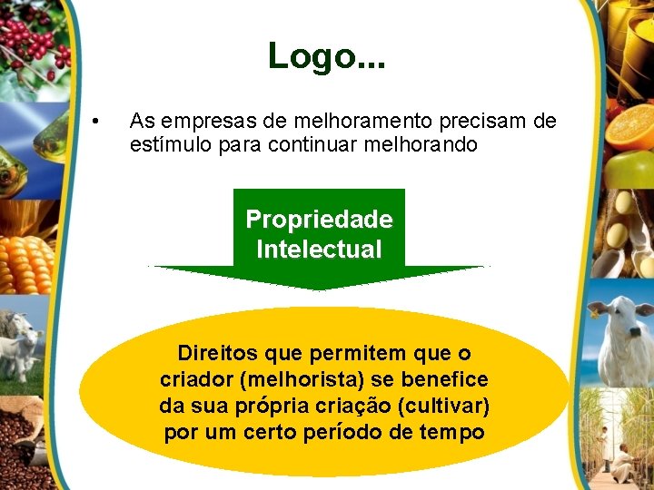 Logo. . . • As empresas de melhoramento precisam de estímulo para continuar melhorando