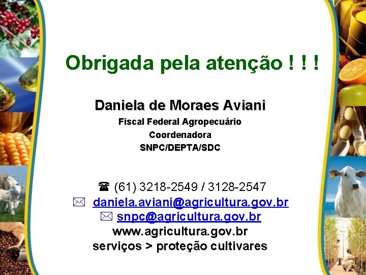 Obrigada pela atenção ! ! ! Daniela de Moraes Aviani Fiscal Federal Agropecuário Coordenadora
