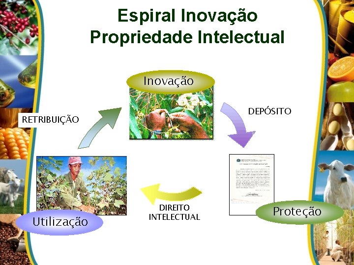 Espiral Inovação Propriedade Intelectual Inovação DEPÓSITO RETRIBUIÇÃO Utilização DIREITO INTELECTUAL Proteção 