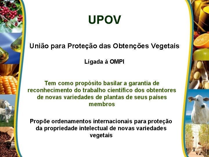 UPOV União para Proteção das Obtenções Vegetais Ligada à OMPI Tem como propósito basilar