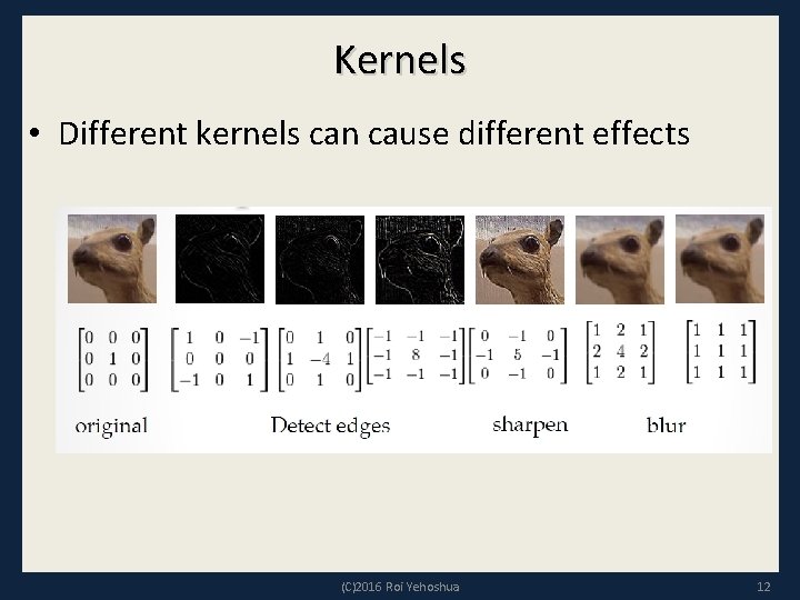 Kernels • Different kernels can cause different effects (C)2016 Roi Yehoshua 12 