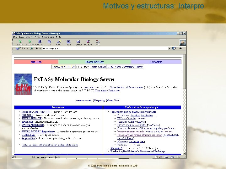 Motivos y estructuras: Interpro © 2006 Plataforma Bioinformàtica de la UAB 