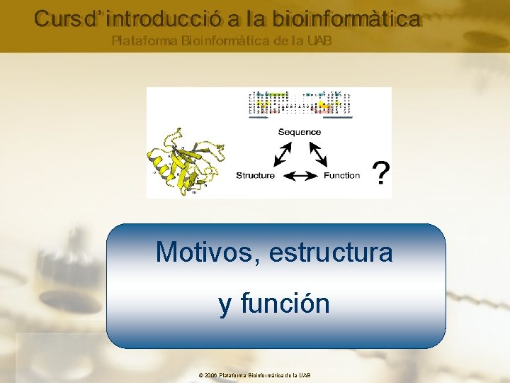 Motivos, estructura y función © 2006 Plataforma Bioinformàtica de la UAB 