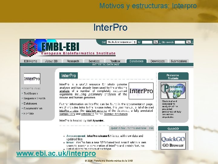 Motivos y estructuras: Interpro Inter. Pro www. ebi. ac. uk/interpro © 2006 Plataforma Bioinformàtica