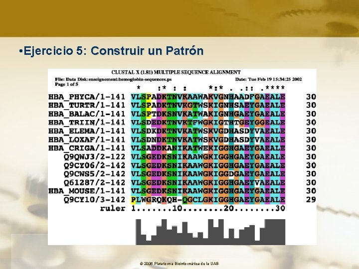  • Ejercicio 5: Construir un Patrón © 2006 Plataforma Bioinformàtica de la UAB