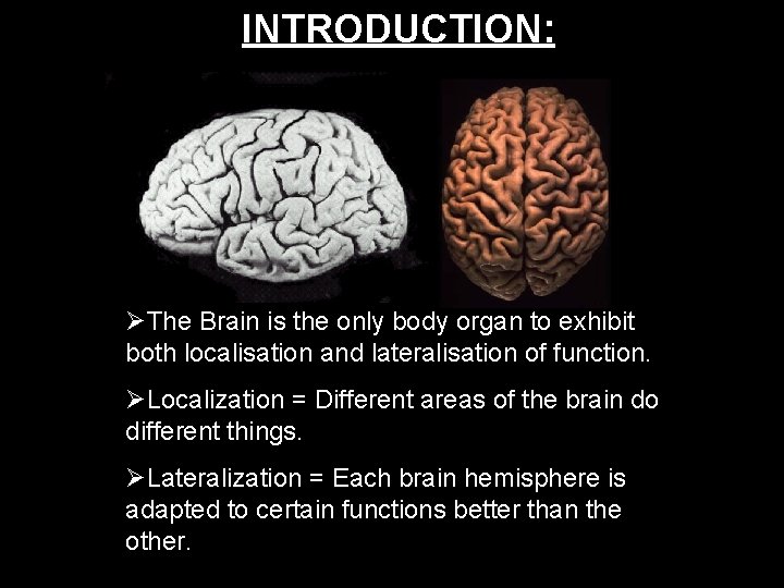 INTRODUCTION: The Brain is the only body organ to exhibit both localisation and lateralisation