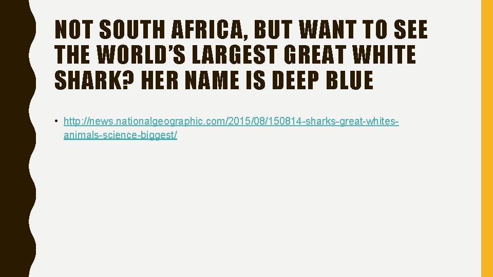 NOT SOUTH AFRICA, BUT WANT TO SEE THE WORLD’S LARGEST GREAT WHITE SHARK? HER