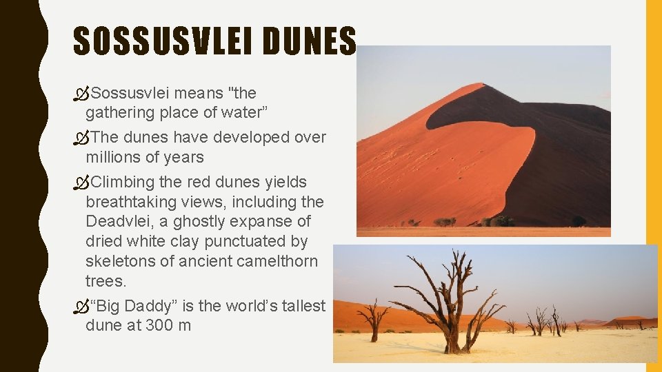 SOSSUSVLEI DUNES Sossusvlei means "the gathering place of water” The dunes have developed over