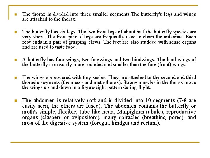 n The thorax is divided into three smaller segments. The butterfly's legs and wings