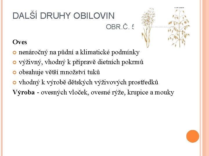 DALŠÍ DRUHY OBILOVIN OBR. Č. 5 Oves nenáročný na půdní a klimatické podmínky výživný,