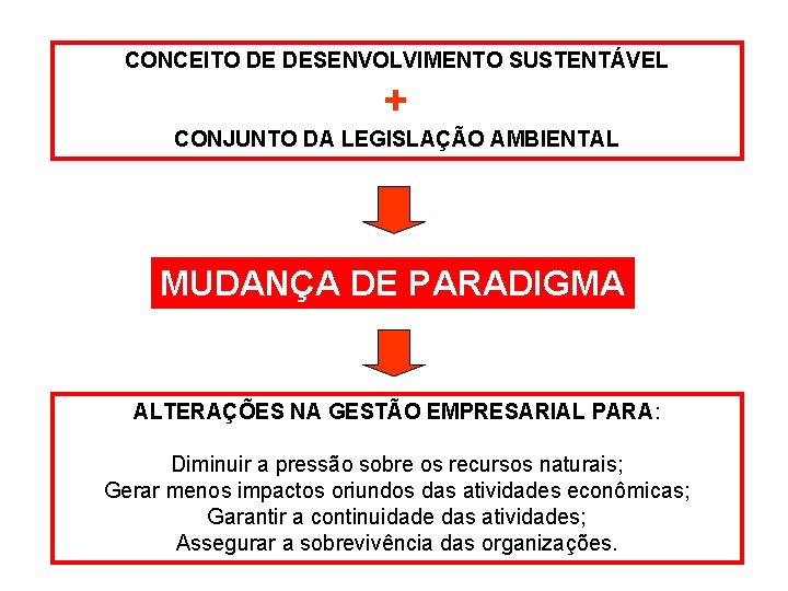 CONCEITO DE DESENVOLVIMENTO SUSTENTÁVEL + CONJUNTO DA LEGISLAÇÃO AMBIENTAL MUDANÇA DE PARADIGMA ALTERAÇÕES NA