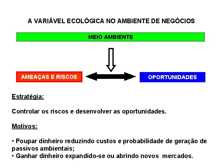A VARIÁVEL ECOLÓGICA NO AMBIENTE DE NEGÓCIOS MEIO AMBIENTE AMEAÇAS E RISCOS OPORTUNIDADES Estratégia: