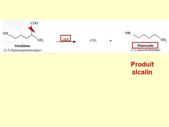 Produit alcalin 