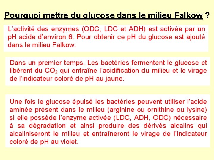 Pourquoi mettre du glucose dans le milieu Falkow ? 