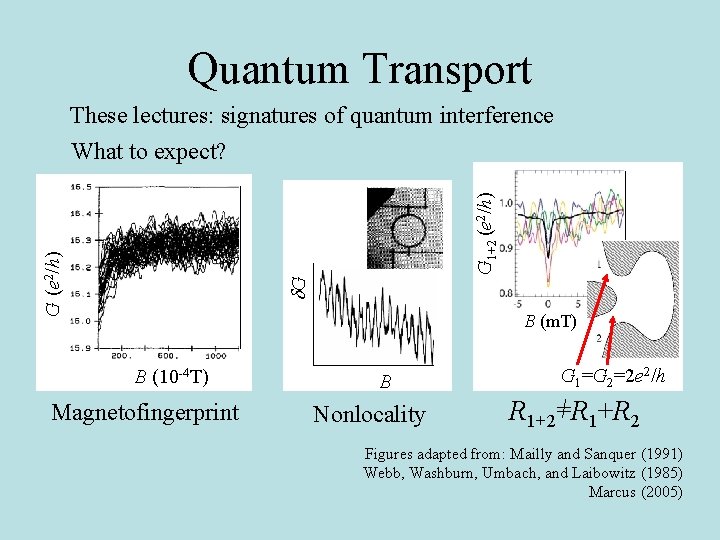 Quantum transport and its classical limit Piet Brouwer
