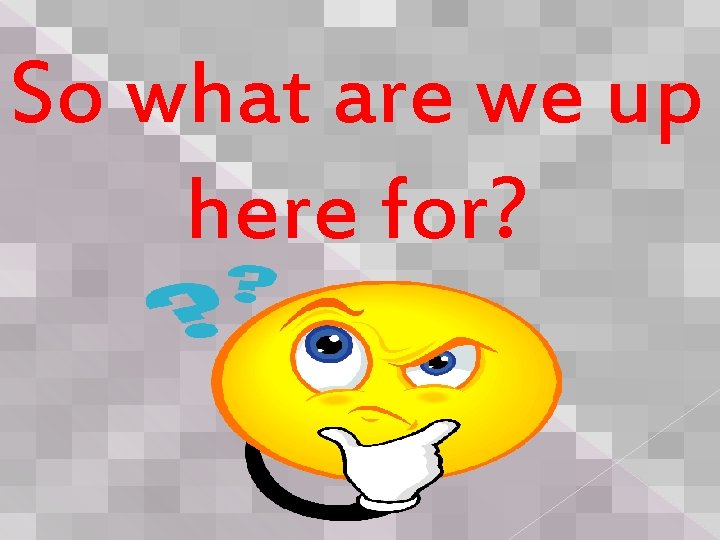 So what are we up here for? 