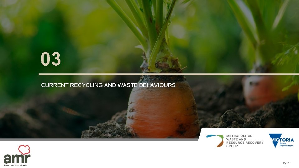 03 CURRENT RECYCLING AND WASTE BEHAVIOURS Pg. 13 