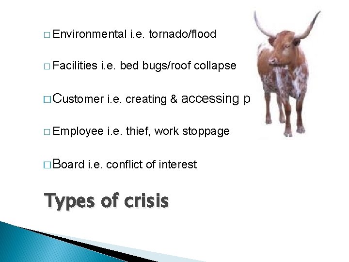 � Environmental � Facilities i. e. tornado/flood i. e. bed bugs/roof collapse � Customer