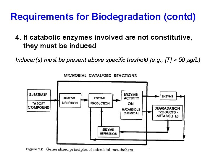 Requirements for Biodegradation (contd) 4. If catabolic enzymes involved are not constitutive, they must