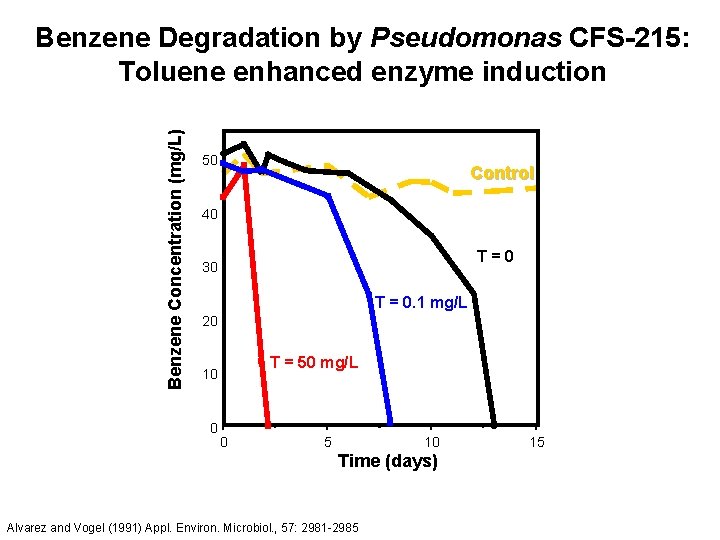 Benzene Concentration (mg/L) Benzene Degradation by Pseudomonas CFS-215: Toluene enhanced enzyme induction 50 Control