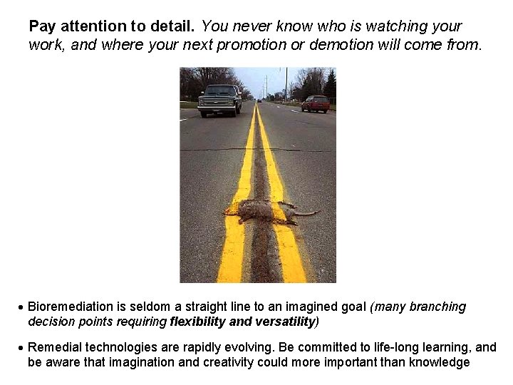 Pay attention to detail. You never know who is watching your work, and where