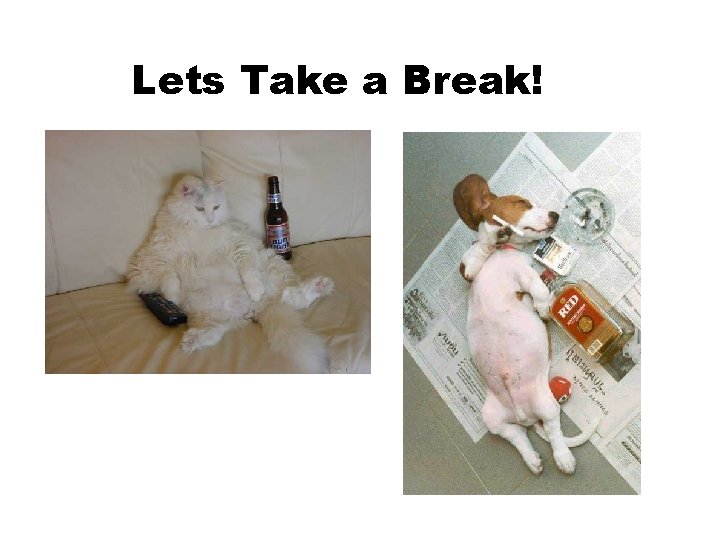 Lets Take a Break! 