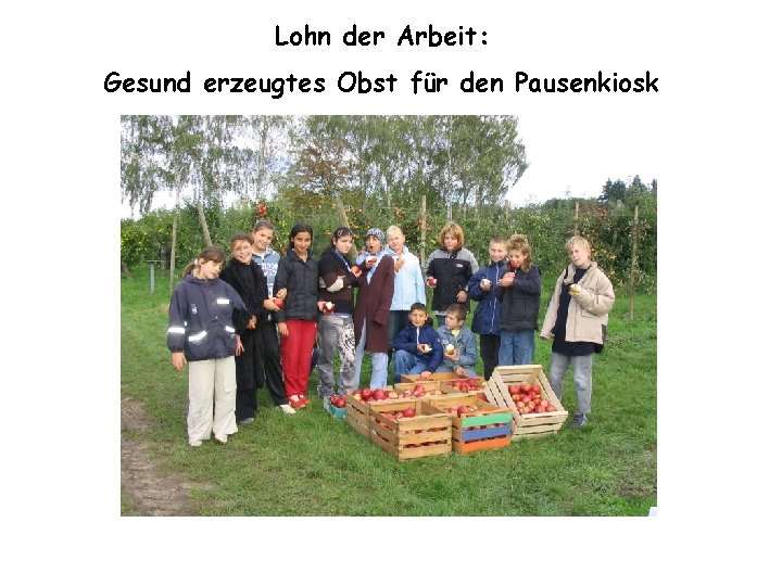 Lohn der Arbeit: Gesund erzeugtes Obst für den Pausenkiosk 