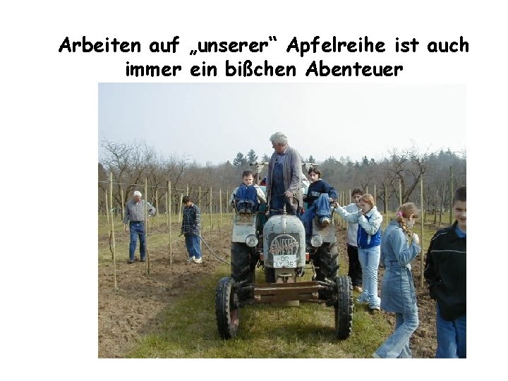 Arbeiten auf „unserer“ Apfelreihe ist auch immer ein bißchen Abenteuer Arbeiten auf „unserer“ Apfelreihe ist auch immer ein bißchen Abenteuer