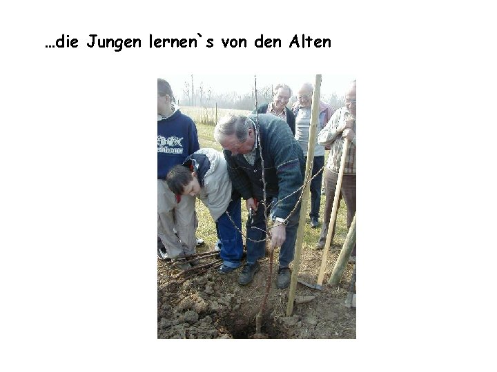 …die Jungen lernen`s von den Alten 