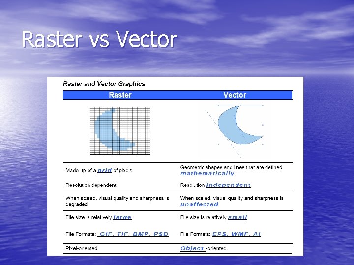 Raster vs Vector 