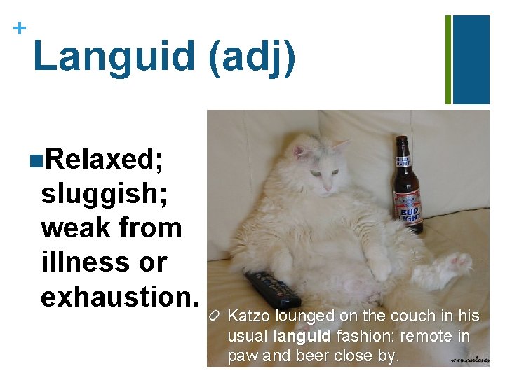 + Languid (adj) n. Relaxed; sluggish; weak from illness or exhaustion. Katzo lounged on