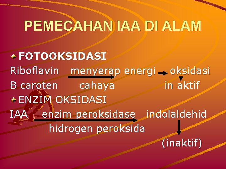 PEMECAHAN IAA DI ALAM FOTOOKSIDASI Riboflavin menyerap energi oksidasi Β caroten cahaya in aktif