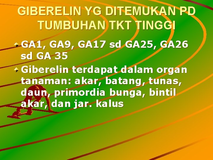 GIBERELIN YG DITEMUKAN PD TUMBUHAN TKT TINGGI GA 1, GA 9, GA 17 sd