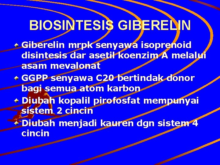 BIOSINTESIS GIBERELIN Giberelin mrpk senyawa isoprenoid disintesis dar asetil koenzim A melalui asam mevalonat