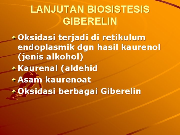 LANJUTAN BIOSISTESIS GIBERELIN Oksidasi terjadi di retikulum endoplasmik dgn hasil kaurenol (jenis alkohol) Kaurenal