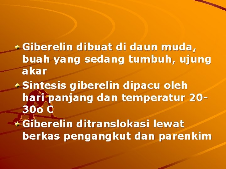 Giberelin dibuat di daun muda, buah yang sedang tumbuh, ujung akar Sintesis giberelin dipacu