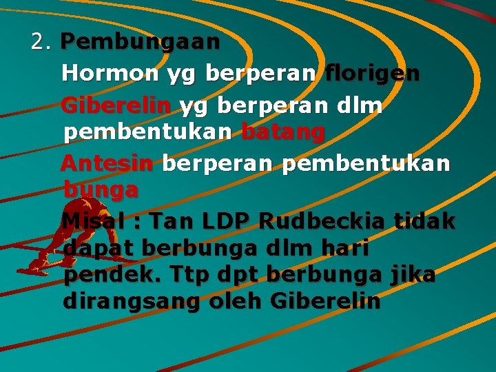 2. Pembungaan Hormon yg berperan florigen Giberelin yg berperan dlm pembentukan batang Antesin berperan
